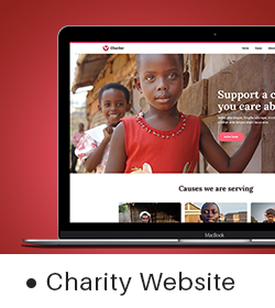 Charity Web 2